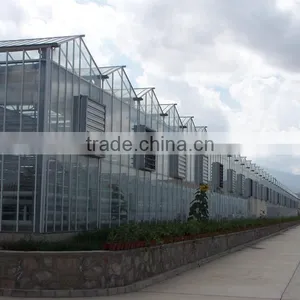 Low Cost Hydroponic Greenhouses System thumbnail-4