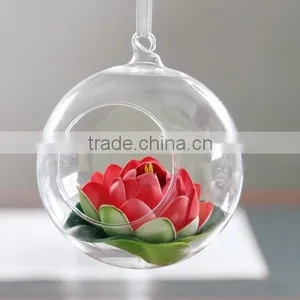 Air Plant Glass Terrarium, Handblown Glass Terrarium thumbnail-1