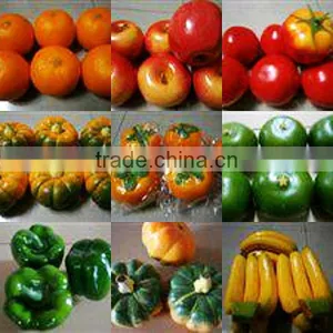 SJH1492917 Mini Plastic Fruit Plastic Fruit and Vegetables for Kids Artificial Fruit for Decoration thumbnail-1
