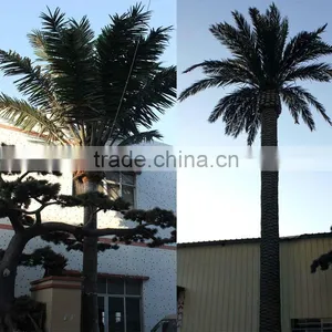 APM012 GNW Artificial Outdoor Palm Trees 20ft High for Landscaping Decor thumbnail-1