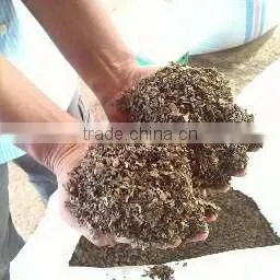 Chopped Sargassum Seaweed thumbnail-1