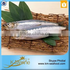 Frozen Wholesale Sardines Seafood Fish thumbnail-6