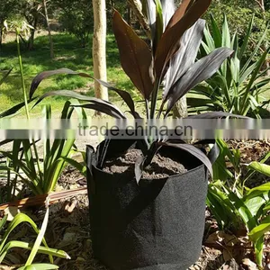 Hot Sale Felt Grow Pot for Plants thumbnail-1