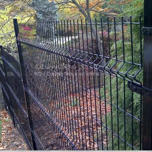 Wrought Iron Fence/ Decorative Fence/ Ornamental Fence/cast Iron Fence thumbnail-4