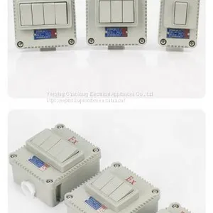 Explosion-proof Wall Switch BQK One Two Three Four Has the Certificate Lighting Switch thumbnail-2