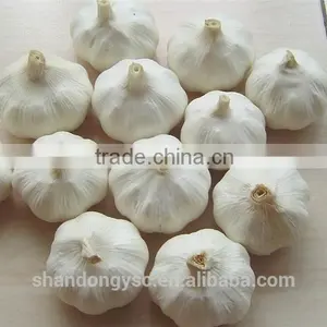 China Factory Price First Grade Pure White Garlic Fresh thumbnail-3