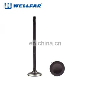 European Vehicle Top Quality Car Intake Engine Valve for Passat b5 1.8T thumbnail-5