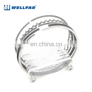 Wellfar 206 307 308 405 Engine Part Piston Ring 75mm 76.5mm for PEUGEOT Engine thumbnail-5