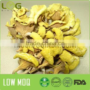 2016 Hot Sale Good Quality Dried Golden Oyster Mushroom thumbnail-1
