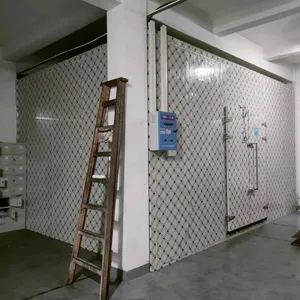 Flower Large Scale Cold Storage,Green Plants Large Scale Cold Room thumbnail-4