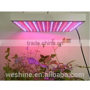 Amazon Best Selling 14w Dual Spektrum Led Grow Panel Light Kit / High Quality Mini Vegetable Hydro Growing Lights in Stock thumbnail-5