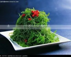 Japan China Korean FoodChuka Wakame Seafood for Sale thumbnail-1