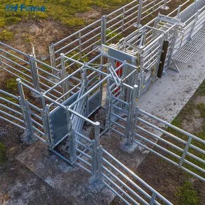 Australian Standard Free Standing Heavy Duty Cattle Yard Panels With a Wing Gate thumbnail-3