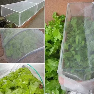 High Quality Insect Net for Greenhouse Crop Protection and Pest Control thumbnail-2
