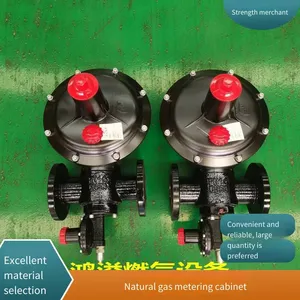Rx500 Gas Pressure Regulating and Metering Cabinet, Working Pressure 0.8mpa, Custom Production, Convenient for Later Maintenance, Hongyi Technology thumbnail-1