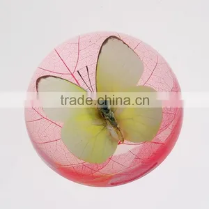 2016 New Design Paperweight With Real Butterfly thumbnail-6