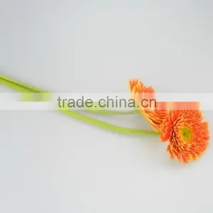 Popular Golden Sun Exquisite Wedding Flowers Gerberas thumbnail-6