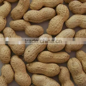 Chinese Raw Peanut Kernel thumbnail-1