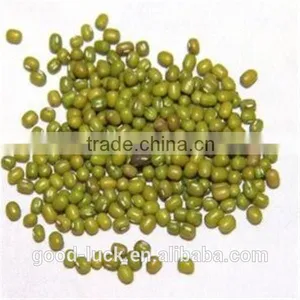 Green Mung Beans(2014 Crop) thumbnail-2