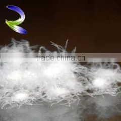 5 Star Hotel Used Washed White Goose Feather for Wholesale thumbnail-3