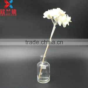 Wholesale New Design With High Quality Dried Sola Wood Flower thumbnail-3