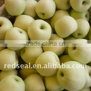 Fresh Golden Delicious Apple thumbnail-1