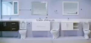 Nanhai Foshan Starry Sanitary Ware Co., Ltd. company overview - view 2 thumbnail