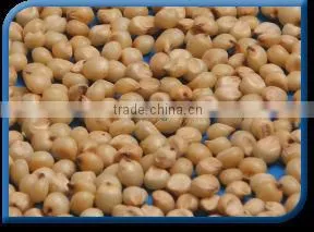 Sorghum thumbnail-1