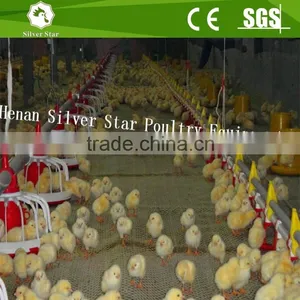 Full Automatic Chicken Equipment Poultry Farming Shed thumbnail-2