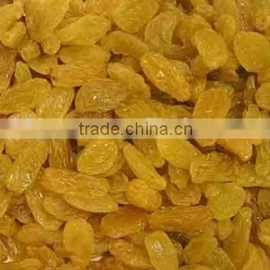 Supply Varies Dried Raisins in High Quality thumbnail-2