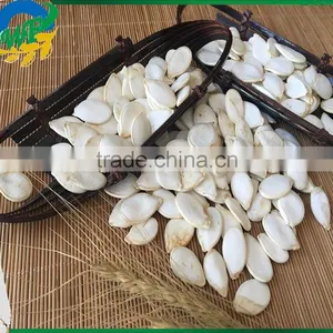 Snow White Pumpkin Seed in Shell thumbnail-2