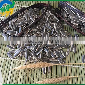 Best Cheap Sunflower Seed 601 Get Latest Price thumbnail-3