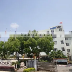 Hongguang Electrical Group Co., Ltd. company overview - view 2 thumbnail