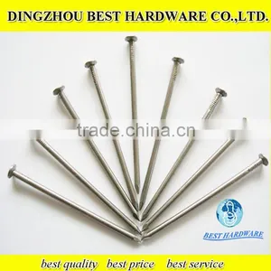 Polished Common Iron Nail thumbnail-5