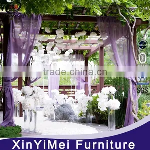 Royal Europea Style Background Wedding thumbnail-5