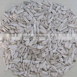 100% New White Sunflower Seeds Buyers Sunflower thumbnail-3