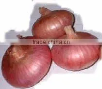 2012 Red Onion in 10kg Mesh Bag Package.MOQ:1X40FCL. thumbnail-1