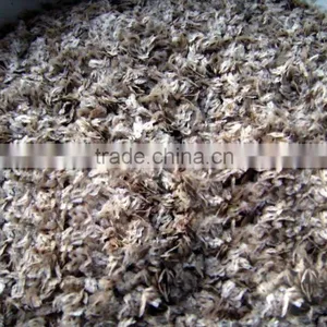 High Quality Paulownia Seed 9501 Seed For Paulownia Plants/Paulownia Elongata Seeds/paulownia Kawakamii thumbnail-1