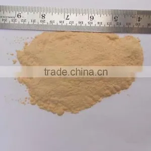 DEHYDRATED GARLIC POWDER thumbnail-6