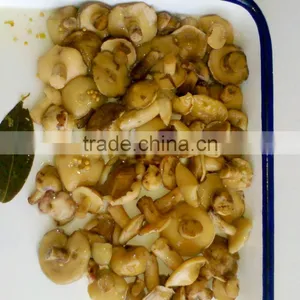 Suillus in Brine thumbnail-1