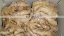 Fresh Ginger (air Dried) thumbnail-1