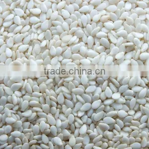 Best Price Hulled Sesame Seeds for Importers thumbnail-2
