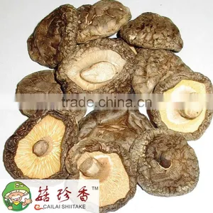 Shitake Mushroom Extract thumbnail-3