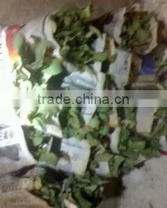 Wholesale Fresh Cut Flower Rose Plants of Various Colors thumbnail-4