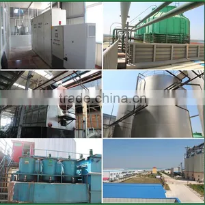 Automatic Palm Oil Extraction Machine | Palm Oil Refining Machine From Palm Fruit to Refined Palm Oil thumbnail-6