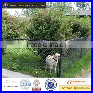 Chain Link KENNELS thumbnail-1