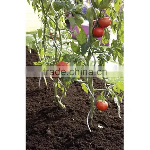Power Coated Tomato Spiral Plant Support/tomato Spiral Stick thumbnail-1