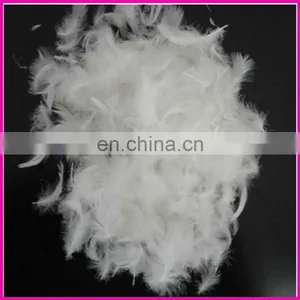 White Duck Down Feather thumbnail-1