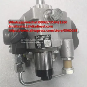 High Quality Diesel Fuel Pump 294000-1191 for Sale thumbnail-1