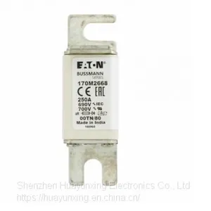 170M2668 Eaton Bussmann Series High Speed Square Body Fuse, 700V UL thumbnail-2